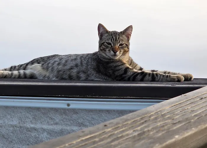 Casa de Férias Etoile Arc-en-ciel