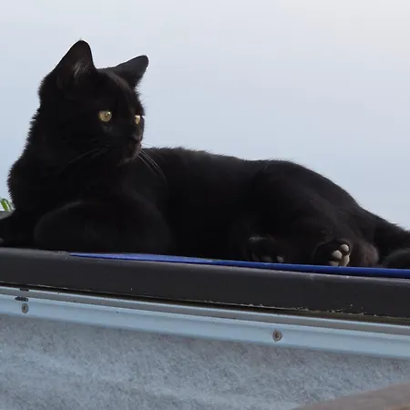 Etoile Arc-en-ciel Дом отдыха