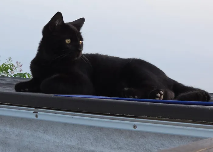 Etoile Arc-en-ciel Hébergement de vacances