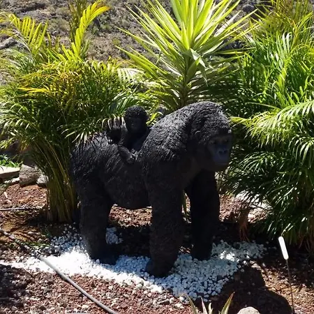 Etoile Arc-en-ciel Vakantiehuis Tejina de Isora