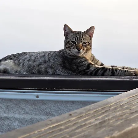 Nyaraló Etoile Arc-en-ciel